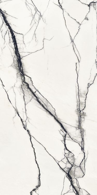 B&W Breach High-Glossy 24 x 48